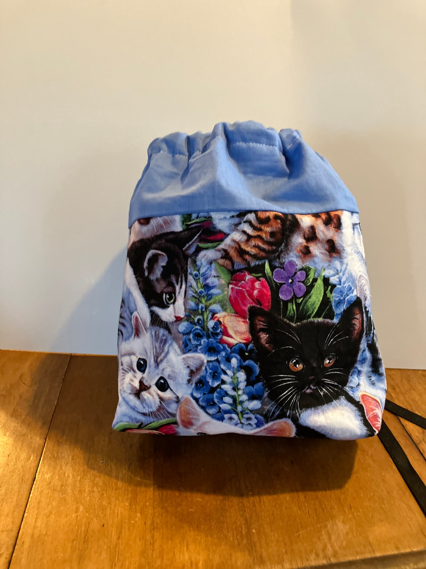 Kittens Project Bag
